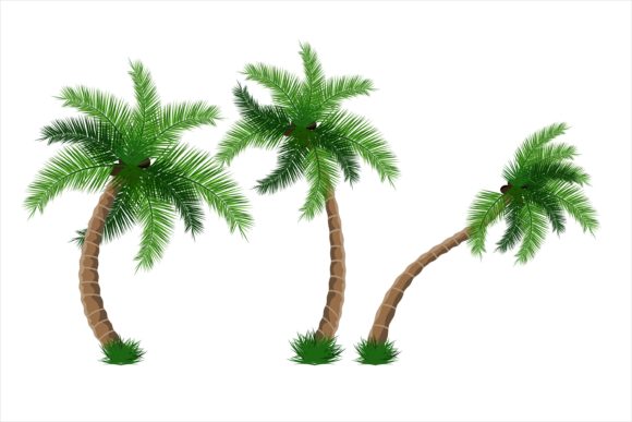 Beautiful Coconut Tree Embroidery Design Review