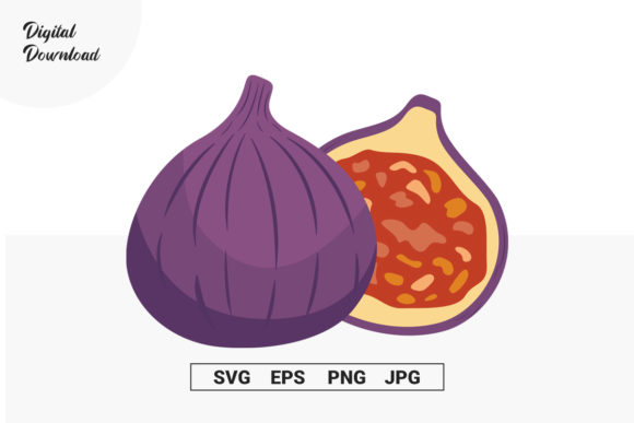 Fig Vector Illustration: A Graphics Freebie That Elevates Handmade Projects
