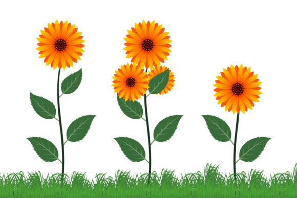 Free Sun Flower Vector Illustration for Creative Sellers
