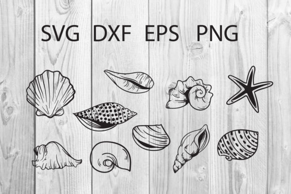 Seashell Cut File SVG Review: A Designer’s Practical Take